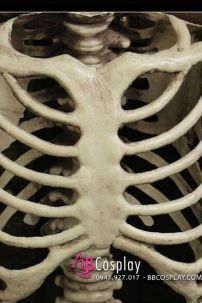Mô Hình Bộ Xương Người Cao 170Cm  Dùng Trang Trí Halloween