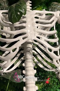 Mô Hình Bộ Xương Người Cao 170Cm  Dùng Trang Trí Halloween