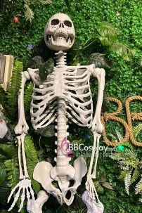 Mô Hình Bộ Xương Người Cao 170Cm  Dùng Trang Trí Halloween