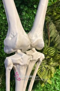 Mô Hình Bộ Xương Người Cao 170Cm  Dùng Trang Trí Halloween