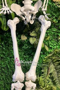 Mô Hình Bộ Xương Người Cao 170Cm  Dùng Trang Trí Halloween