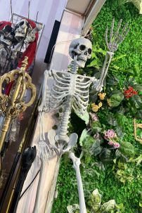 Mô Hình Bộ Xương Người Cao 170Cm  Dùng Trang Trí Halloween