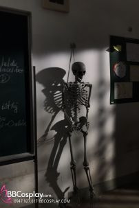 Mô Hình Bộ Xương Người Cao 170Cm  Dùng Trang Trí Halloween