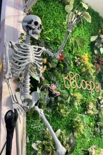 Mô Hình Bộ Xương Người Cao 170Cm  Dùng Trang Trí Halloween