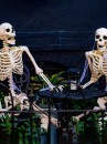Mô Hình Bộ Xương Người Cao 170Cm Dùng Trang Trí Halloween
