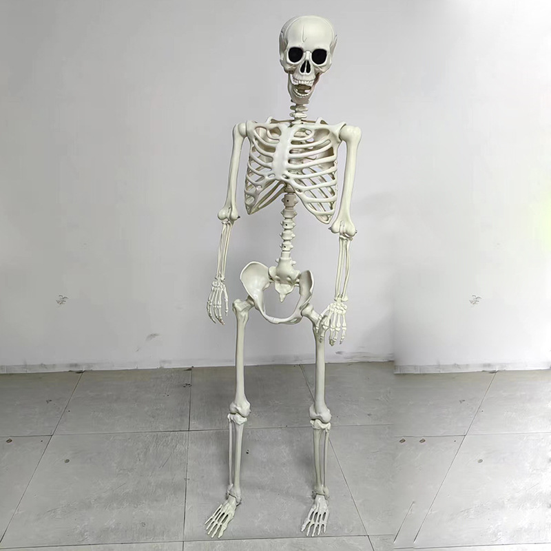 Mô Hình Bộ Xương Người Cao 170Cm Dùng Trang Trí Halloween