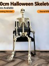 Mô Hình Bộ Xương Người Cao 170Cm Dùng Trang Trí Halloween