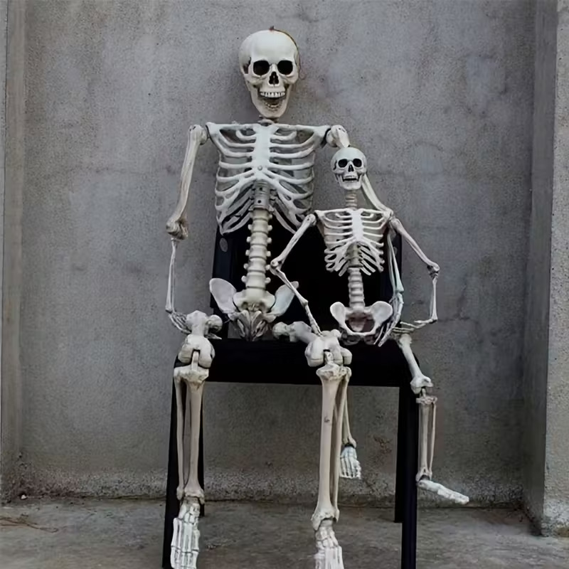 Mô Hình Bộ Xương Người Cao 170Cm Dùng Trang Trí Halloween