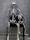 Mô Hình Bộ Xương Người Cao 170Cm Dùng Trang Trí Halloween