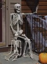 Mô Hình Bộ Xương Người Cao 170Cm Dùng Trang Trí Halloween