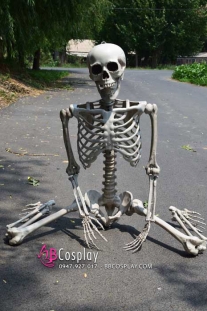 Mô Hình Bộ Xương Người Cao 170Cm  Dùng Trang Trí Halloween