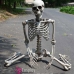 Mô Hình Bộ Xương Người Cao 170Cm  Dùng Trang Trí Halloween