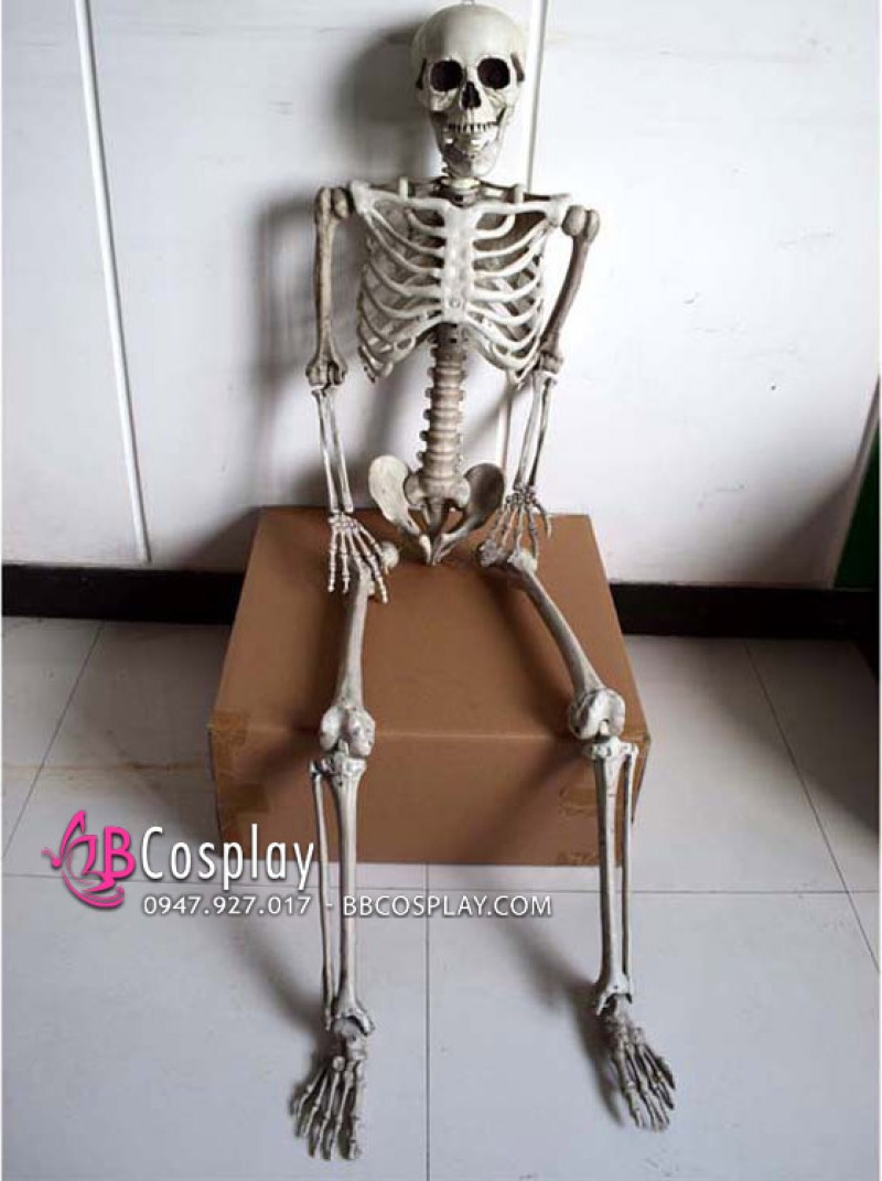 Mô Hình Bộ Xương Người Cao 170Cm  Dùng Trang Trí Halloween
