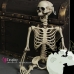 Mô Hình Bộ Xương Người Cao 170Cm  Dùng Trang Trí Halloween