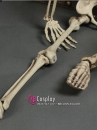 Mô Hình Bộ Xương Người Cao 170Cm  Dùng Trang Trí Halloween