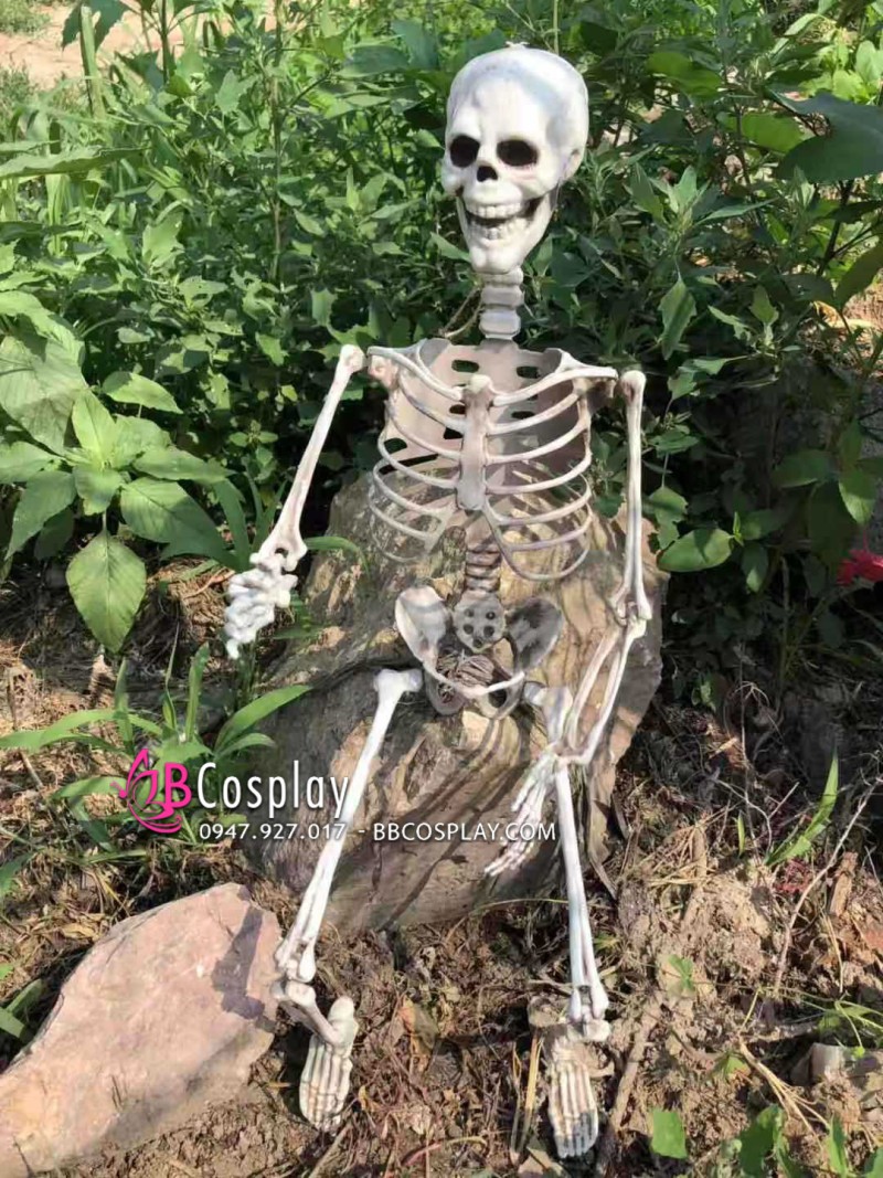 Mô Hình Bộ Xương Người Cao 170Cm Dùng Trang Trí Halloween Giá Tốt -  BBCosplay.com