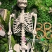 Mô Hình Bộ Xương Người Cao 170Cm  Dùng Trang Trí Halloween