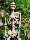 Mô Hình Bộ Xương Người Cao 170Cm  Dùng Trang Trí Halloween