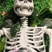 Mô Hình Bộ Xương Người Cao 170Cm  Dùng Trang Trí Halloween