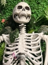 Mô Hình Bộ Xương Người Cao 170Cm  Dùng Trang Trí Halloween