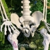 Mô Hình Bộ Xương Người Cao 170Cm  Dùng Trang Trí Halloween