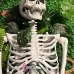 Mô Hình Bộ Xương Người Cao 170Cm  Dùng Trang Trí Halloween