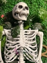Mô Hình Bộ Xương Người Cao 170Cm  Dùng Trang Trí Halloween