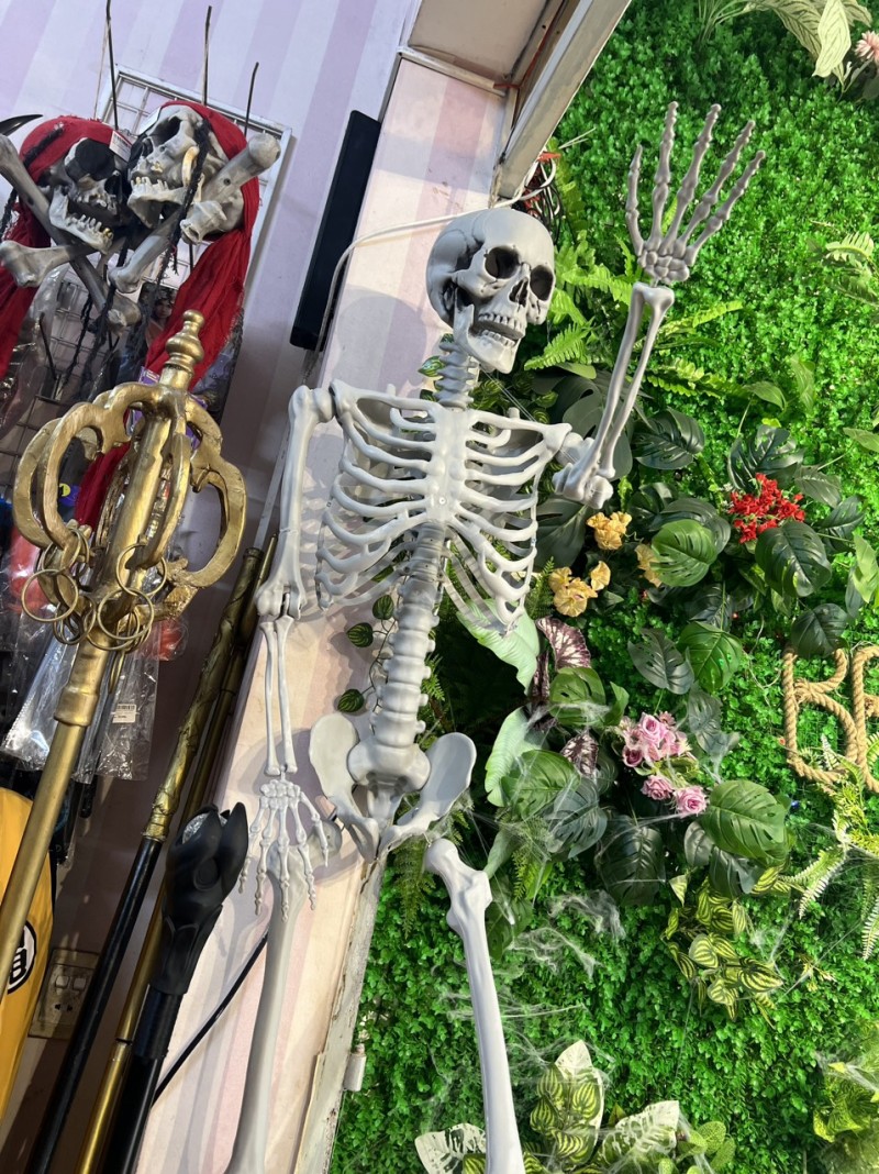 Mô Hình Bộ Xương Người Cao 170Cm Dùng Trang Trí Halloween Giá Tốt -  BBCosplay.com