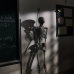 Mô Hình Bộ Xương Người Cao 170Cm  Dùng Trang Trí Halloween