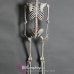 Mô Hình Bộ Xương Người Cao 170Cm  Dùng Trang Trí Halloween