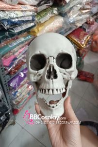 Hóa Trang Mô Hình Đầu Lâu Dùng Trang Trí Halloween Mô Hình Đầu Lâu Dùng Trang Trí Halloween
