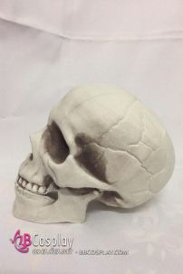 Mô Hình Đầu Lâu Dùng Trang Trí Halloween