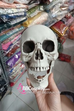 Mô Hình Đầu Lâu Dùng Trang Trí Halloween