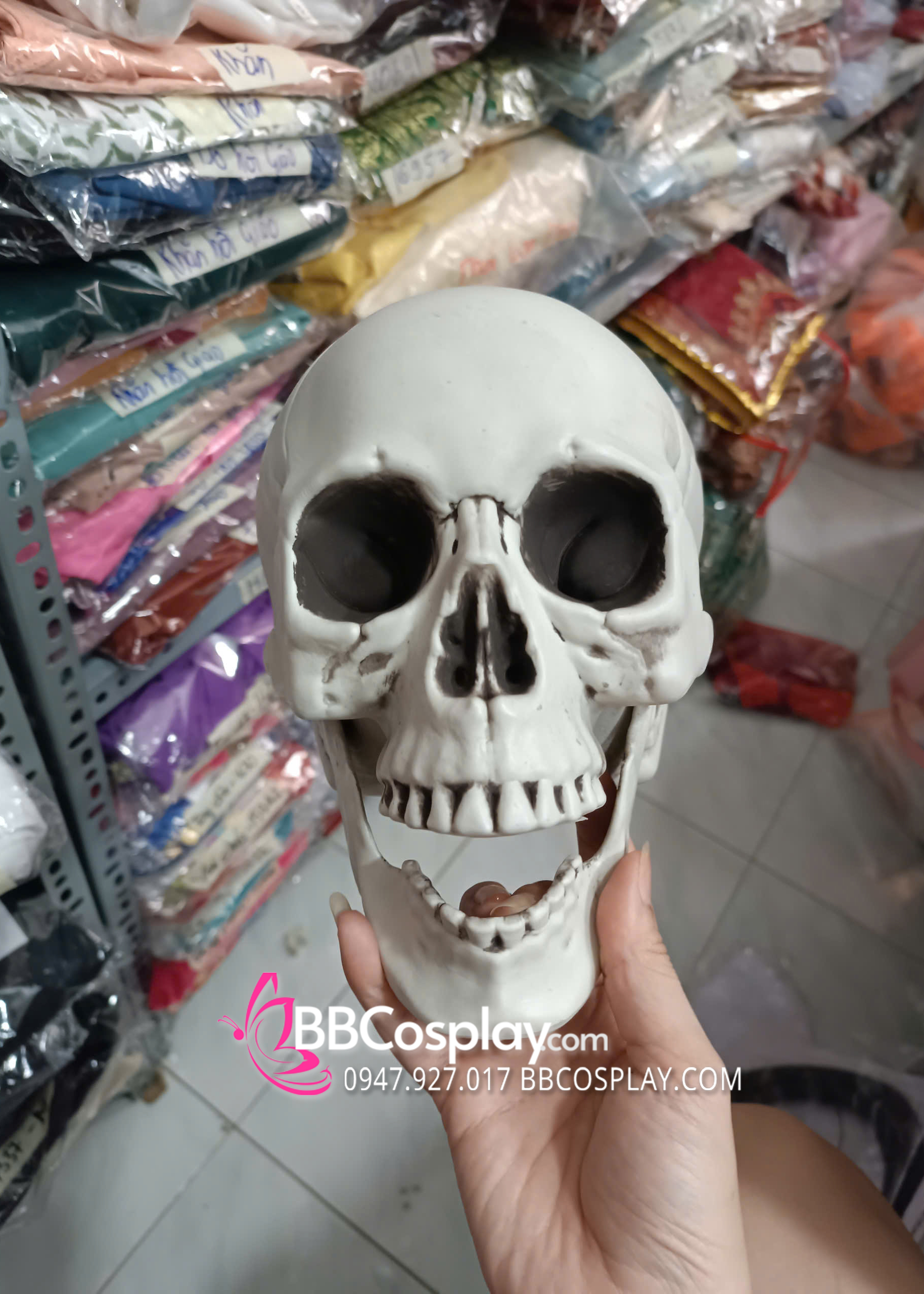 Mô Hình Đầu Lâu Dùng Trang Trí Halloween