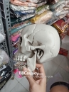 Mô Hình Đầu Lâu Dùng Trang Trí Halloween