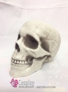 Mô Hình Đầu Lâu Dùng Trang Trí Halloween