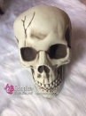 Mô Hình Đầu Lâu Dùng Trang Trí Halloween