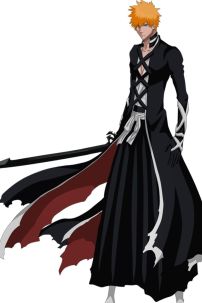 Bộ Cosplay Ichigo Trong Bleach