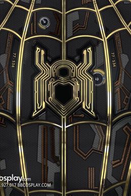 Trang Phục Người Nhện Đen Vàng - Black And Gold Suit
