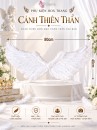 Cánh Thiên Thần Lông Ngỗng 80X40Cm
