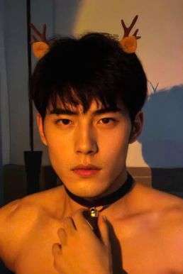 Cài Tóc Sừng Tuần Lộc Nhỏ Tai Vàng