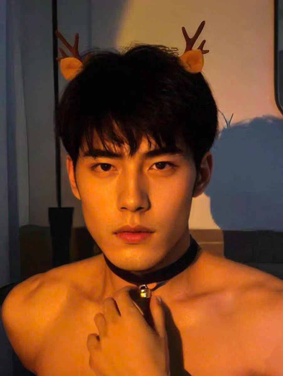 Cài Tóc Sừng Tuần Lộc Nhỏ Tai Vàng