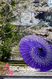 Dù Nghệ Thuật Wagasa Nhật Bản Tím Cánh Hoa