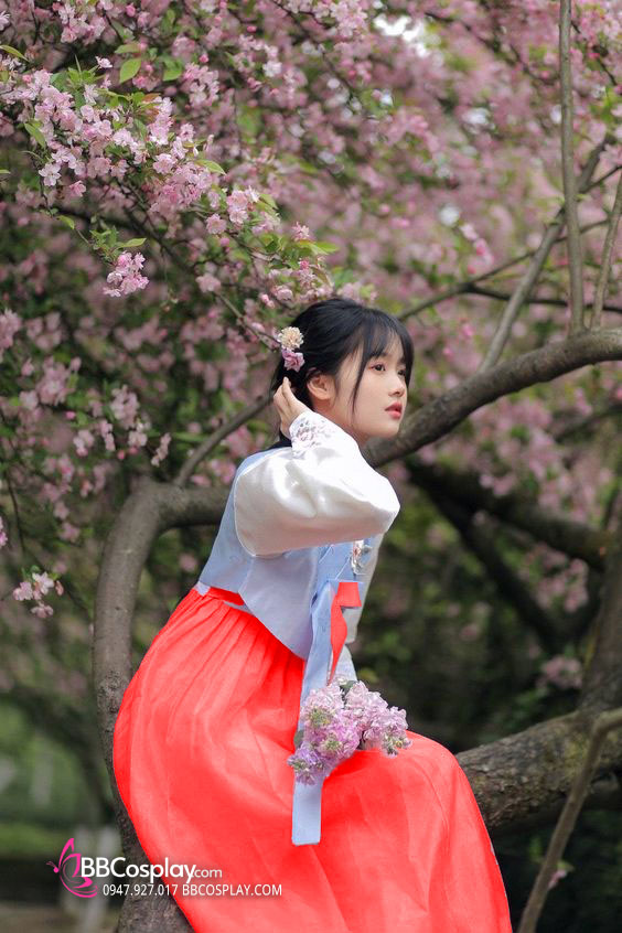 Hanbok Cưới Áo Xanh Váy Carot Vải Gấm