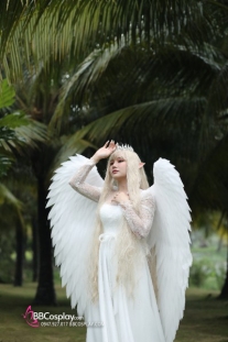 Cánh Thiên Thần Trắng Lớn