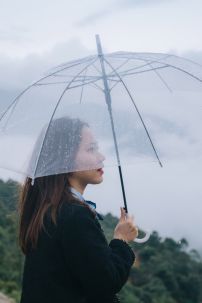 Dù Trong Suốt - Ô Trong Suốt Chụp Ảnh Phong Cách Nhật Bản