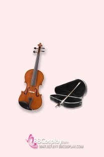 Đàn Violin - Đàn Vĩ Cầm
