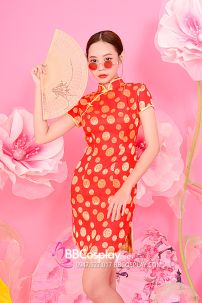 Xườn Xám Gấm Đỏ Đồng Tiền