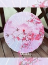Dù Vải Hồng Phấn Hoa Và Én