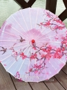 Dù Vải Hồng Phấn Hoa Và Én